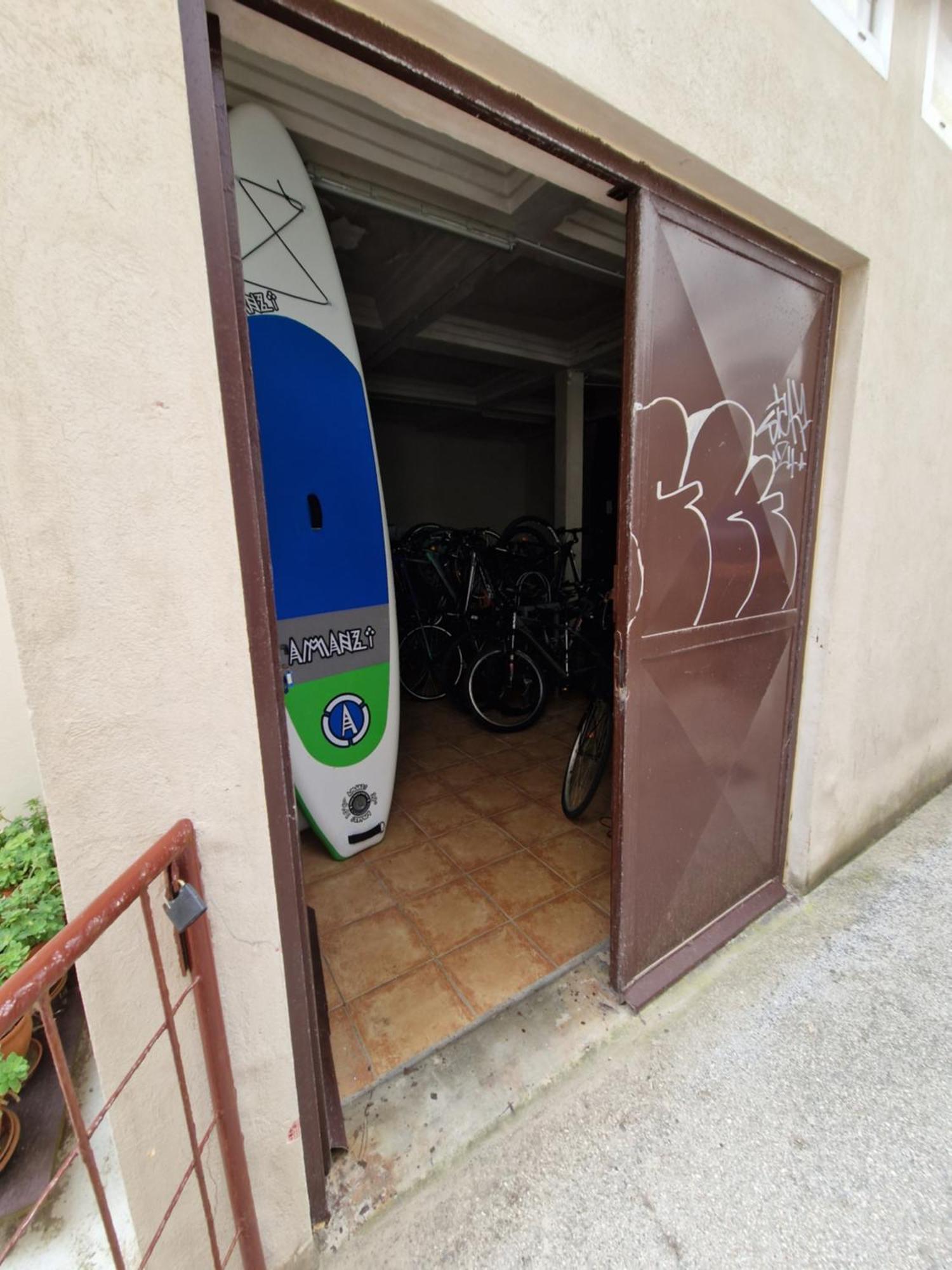 Octopus Piran